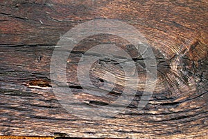 Beautiful oak wood texture