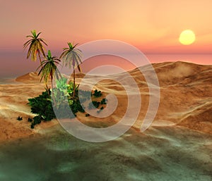 Beautiful oasis in the desert sand