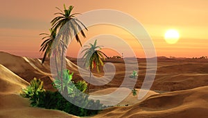 Beautiful oasis in the desert sand