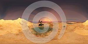 Beautiful oasis in the desert sand