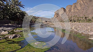 Beautiful oasis landscape in Oasis De Fint near Ourzazate in Morocco, North Africa.