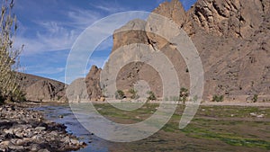 Beautiful oasis landscape in Oasis De Fint near Ourzazate in Morocco, North Africa.