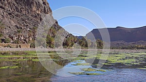 Beautiful oasis landscape in Oasis De Fint near Ourzazate in Morocco, North Africa.