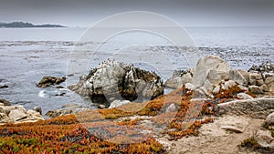 Beautiful ocean view, along the 17 mile drive on the west coast in california