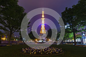 The beautiful Odori Park with TV Tower at night