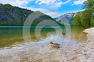 Beautiful Offensee lake landscape with mountains, forest, clouds and resting-place in Austrian Alps. Salzkammergut region