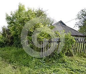 Beautiful old abandoned building farm house in countryside