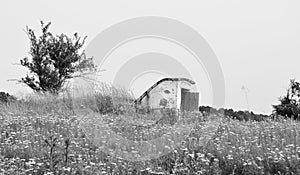 Beautiful old abandoned building farm house in countryside