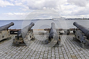 Beautiful old cannons of maritime museum at tallinn coast with baltic sea