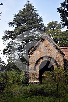 Beautiful old church and big green tree in nainital