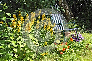 Beautiful, old garden