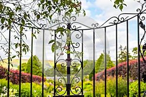 Beautiful, old garden gate with climbing ivy