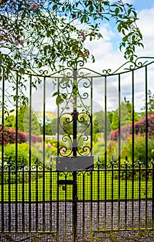 Beautiful old garden gate covered with green ivy