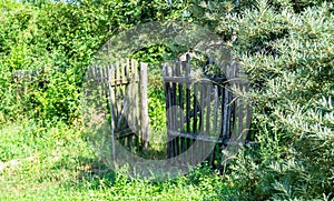 Beautiful old gate from abandoned house in village on natural background