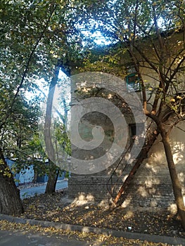 beautiful old house with an old staircase and trees around in spring on a sunny