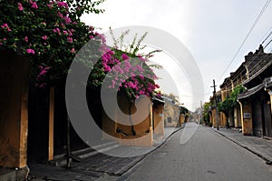 Beautiful Old Houses in Hoi An ancient town