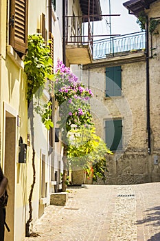 Beautiful old italian street in the summer