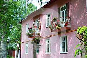 Beautiful Old Pink House decorated with birdhouses and flowers.
