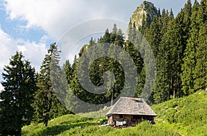 Beautiful and old shepherd house in Buila Vanturarita mountains, Romania