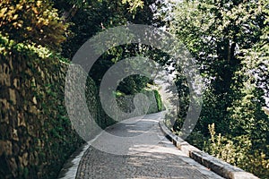 Beautiful old stone road and wall with greenery in botanical garden, on Borromean Islands on Lago Maggiore, Stresa city, Italy.