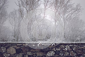 Beautiful old stone wall in front of misty winter forest