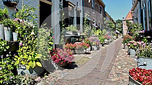 Beautiful old street in the city center decorated with flowers and plants