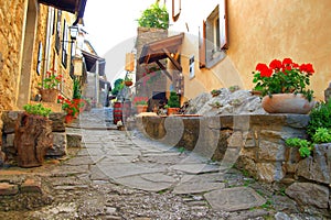 Beautiful old street with flowers in Hum, Istria, Croatia