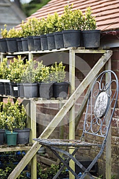 Beautiful old vintage potting shed exterior detail in English co