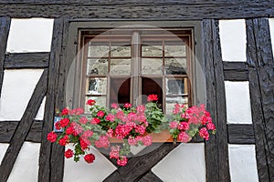 Beautiful old window frame with flower box.