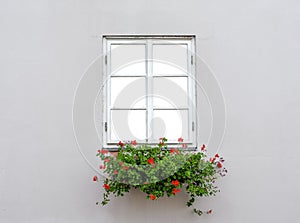 Beautiful old window frame with flower box and light grey wall. Geranium or cranesbill in window box. Rural window frame mock up.