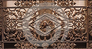 Beautiful old wrought-iron grille