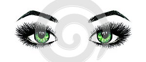 Beautiful open female green eyes with long eyelashes is isolated on a white background. Makeup template illustration. Color sketch photo