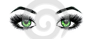 Beautiful open female green eyes with long eyelashes is isolated on a white background. Makeup template illustration. Color sketch