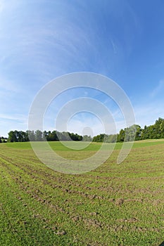 Beautiful, Open Grassy Field