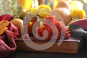 Beautiful orange chrysanthemum flowers, rosehip berries and scented candle on book. Autumn still life