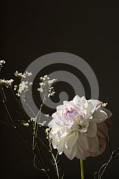 Beautiful orange coloured sunny Dahlia flower , yellow craspedia and white dried flowers, modern bouquet flowers dark