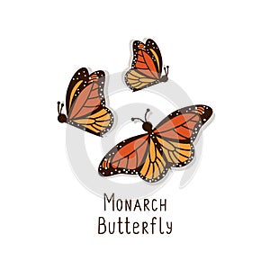 Beautiful orange monarch butterflies side and top view. Set of hand drawn in cartoon style vector colorful flying insects on