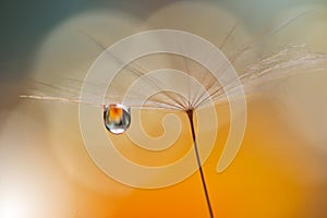 Beautiful Orange Nature Background Closeup.Tranquil Abstract Art Photography.Artistic Wallpaper.Fantasy Design.Dandelion,drop,pure