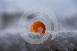 beautiful orange ping pong ball in the snow