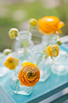 Beautiful orange ranunculus flowers in vintage bottles and vases standing on a wooden blue tray