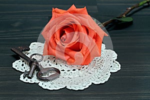 Beautiful orange rose on an antique doilie and vintage keys.