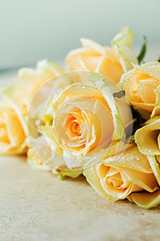 Beautiful orange roses over a light concrete background. Horizontal composition. Text for congratulations on Valentines Day