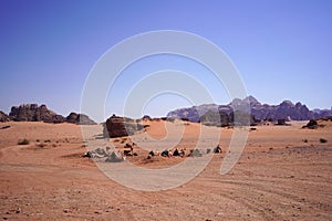 Beautiful orange sands dune of Wadi Rum desert the unique landscape