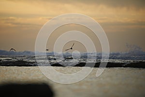 Beautiful orange sunset over the Black Sea. Evening sea with waves. Focusing in the center of the frame.