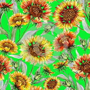 Beautiful orange and yellow coreopsis flowers with leaves on chartreuse background. Seamless botanical pattern. photo