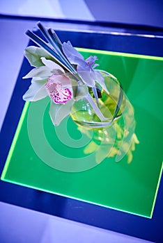 Beautiful orchid cocktail flower arrangement on lucite table set up for a party photo