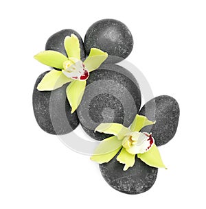 Beautiful orchid flowers with spa stones on white background