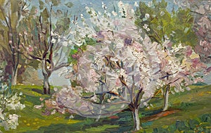 Beautiful Original Oil Painting Blooming tree On Canvas photo