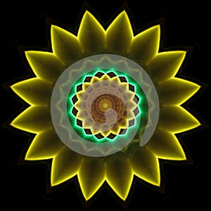 Beautiful Ornament on a black background