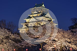 Beautiful Osaka castle during cherry blossom sakura season, Osaka, Japan